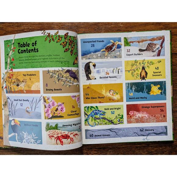 Incredible Animals Kids Book Hardbound Educational 8-12 Years Barefoot Books - Picture 5 of 11